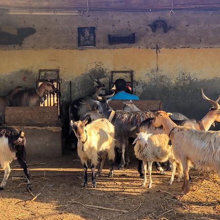 Fattoria Manostalla Villa Chiarelli Balestrate Εξωτερικό φωτογραφία