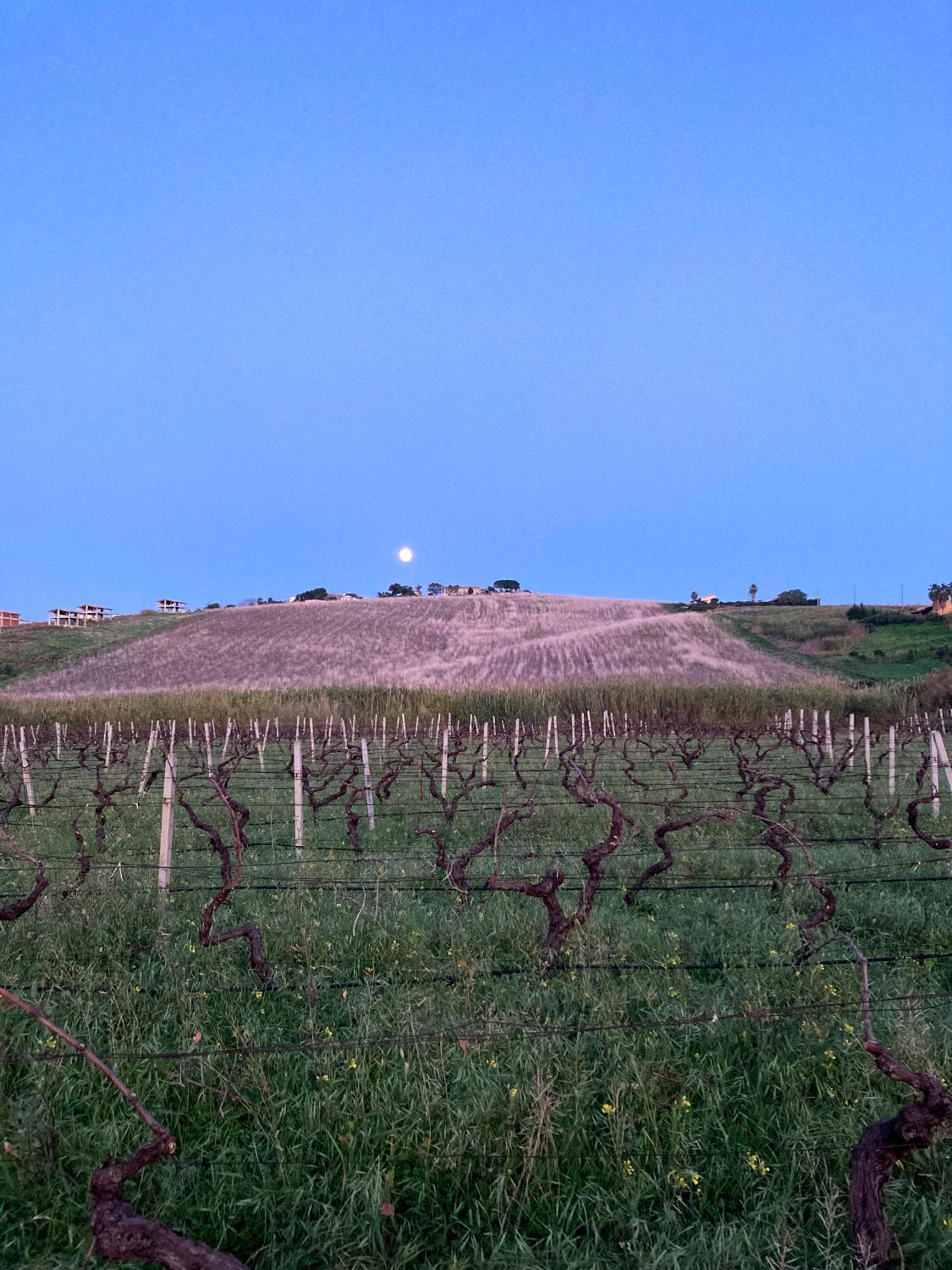 Fattoria Manostalla Villa Chiarelli Balestrate Εξωτερικό φωτογραφία