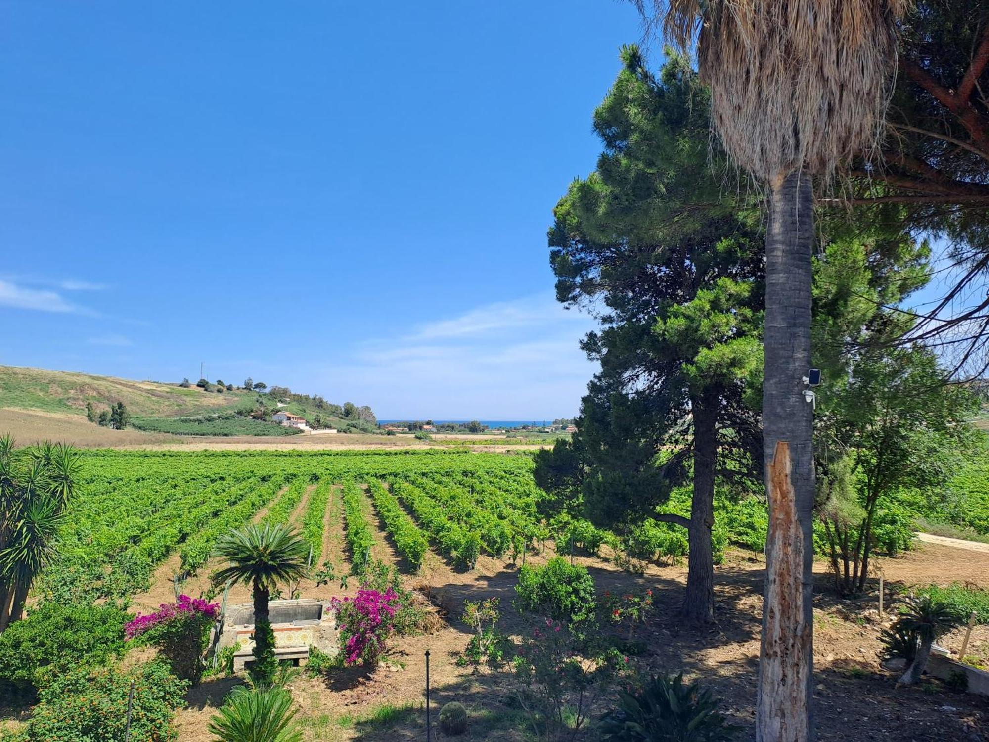 Fattoria Manostalla Villa Chiarelli Balestrate Εξωτερικό φωτογραφία